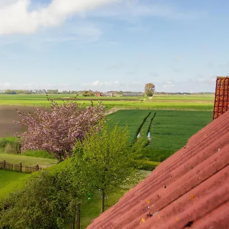 דירה Haus Leuchtturm - Ebbe *